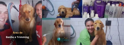 Nossa Estrutura