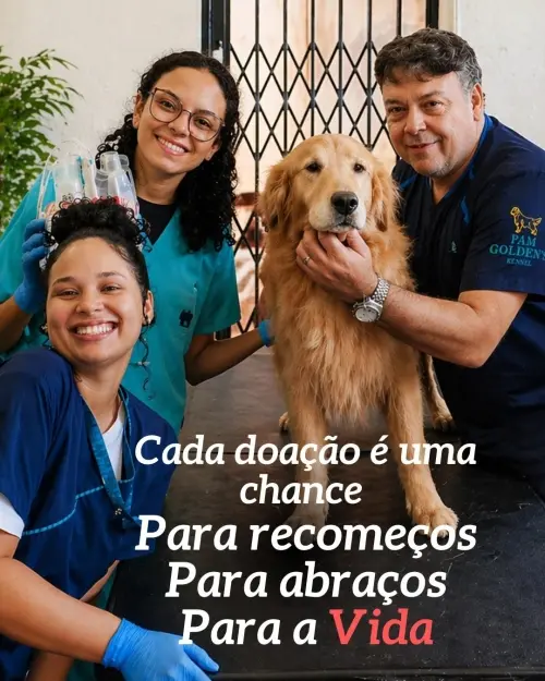 Doação de Sangue Salva Vidas